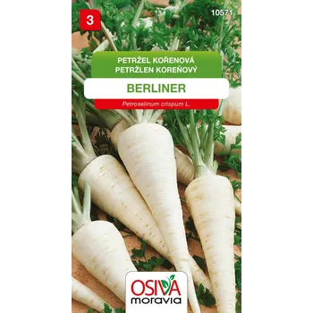 Semeno Petržel kořenová - Berliner