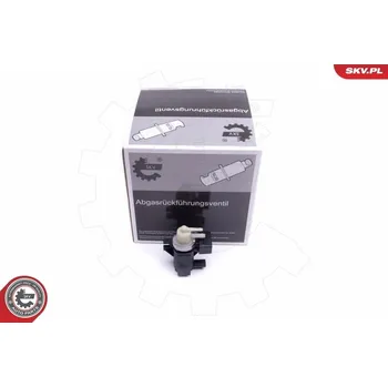 Turbodmychadlo Měnič tlaku, turbodmychadlo ESEN SKV 14SKV915