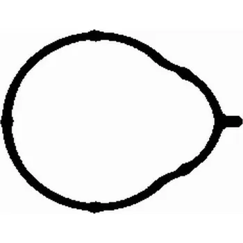 Těsnění motoru Těsnění, koleno sacího potrubí BGA MG2581