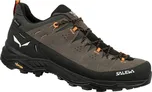 Salewa Alp Trainer 2 GTX Brown Bungee…