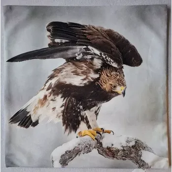 Povlak na dekorativní polštářek Povlak na polštářek Orel