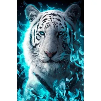 Diamantové malování Diamantové malování - Bílý tygr v modrém (60x80)