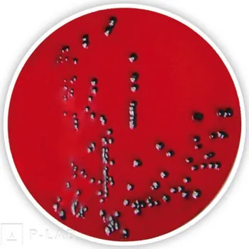 Hnojivo Agar XLD (Popis: acc. to Ph. Eur./USP, pro mikrobiologii, Balení: 1 kg, Obal: plast)