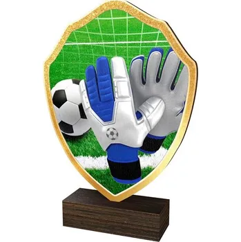 Poháry Bauer Dřevěná plaketa TFRW316 | Fotbal