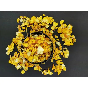 Sazenice Bloomy Růže žlutá - okvětní lístky Množství: 600 ml