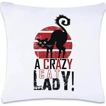 Dekorativní polštářek DOBRÝ TRIKO Polštář s potiskem Crazy cat lady 40 x 40 cm Oboustranný tisk: NE