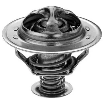 Těsnění motoru Termostat, chladivo MOTORAD 382-88JK