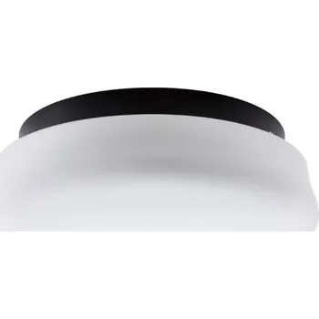 Osmont RANA LED-1L37E350BTH1/K01 C 4K přisazené svítidlo se skleněným stínidlem