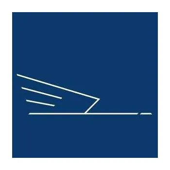 Zahraniční hudba SP The Wild Swans: Revolutionary Spirit CLR | LTD 2022 Blue Coloured Vinyl Limited Edition