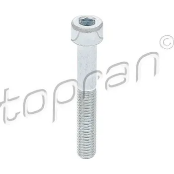 Brzdový systém Šroub, brzdový třmen TOPRAN 110 707