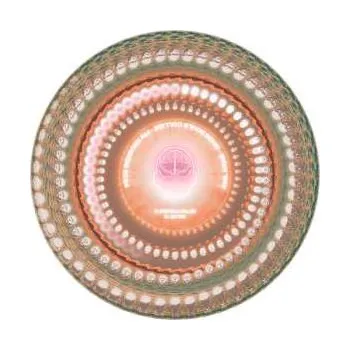 Zahraniční hudba LP Anil Aras: When Souls Collide PIC 2024 Picture Disc Vinyl