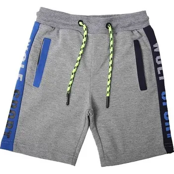 Chlapecké kraťasy Chlapecké kraťasy Wolf T2231B šedá Varianta: 116