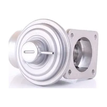 Ventil palivového systému AGR-Ventil NISSENS 98363