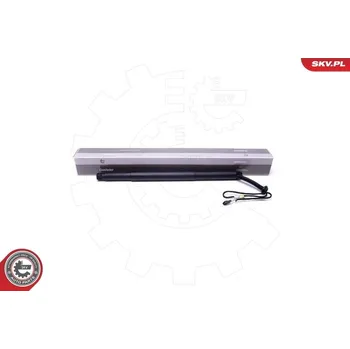 Elektromotor, zadní dveře ESEN SKV 52SKV923