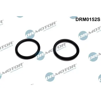 Auto-moto Těsnění, topná příruba-předehřívání nasávaného vzduchu Dr.Motor Automotive DRM0152S
