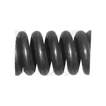 Tlumič výfuku Pružina, tlumič výfuku WALKER 80305