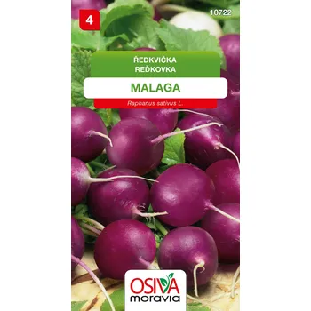 Semeno Ředkvička - Malaga