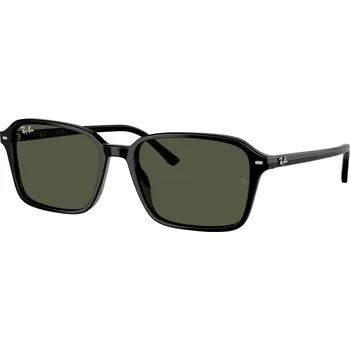 Sluneční brýle Ray-Ban Raimond RB 2231 901/31 56