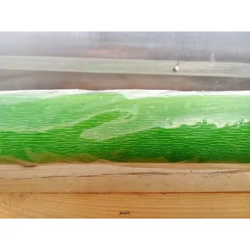 Krepový papír Krepový papír zelená 50cmx2,5m