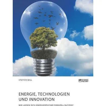 Energie, Technologien und Innovation. Wie lassen sich Energiespeicher sinnvoll nutzen? - Will, Steffen