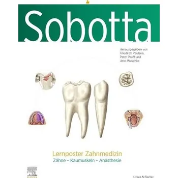 Sobotta Lernposter Zahnmedizin - Paulsen, Friedrich