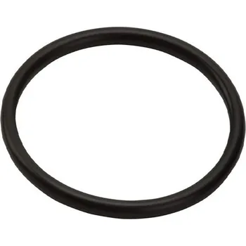 Hansgrohe Náhradní O kroužek 16x2.5mm, 98134000