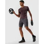 Pánské sportovní rychleschnoucí šortky 4F velikost XXL šedá