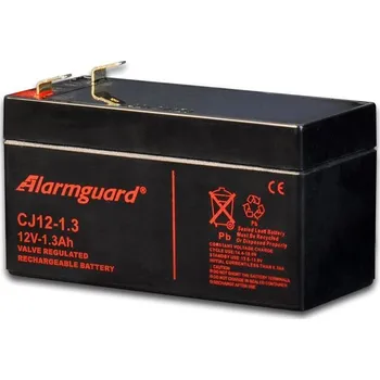 Záložní baterie Alarmguard TP1213