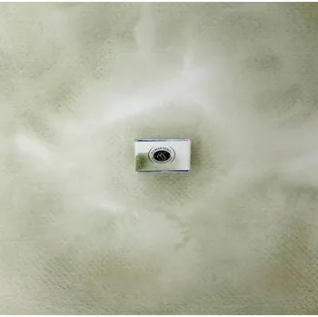 Vodová barva Akvarelová barva Roman Szmal AQUARIUS - Davy's Gray