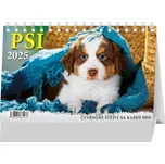 BB Art Stolní kalendář psi 2025