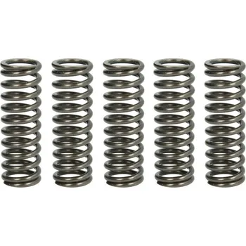 Spojkové pružiny APRILIA 650 Pegaso Trail rok 06-10