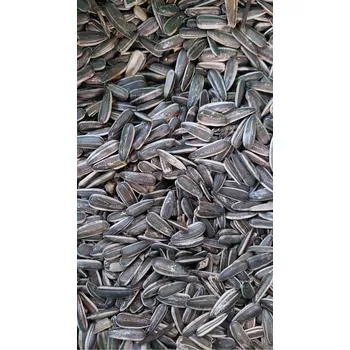 Pro ptáka Fauna Hradil Slunečnice velká žíhaná MAX Hmotnost: 5 kg