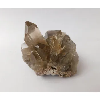 Sběratelství DRŮZA ZÁHNĚDA Brazílie - velikost menší, cca 3,5 cm, 10 - 20 g, NOVINKA