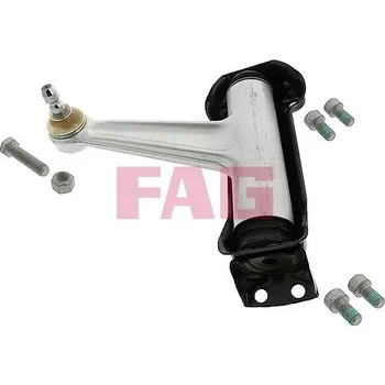 Zavěšení kol Řídicí páka, zavěšení kol Schaeffler FAG 821 0202 10