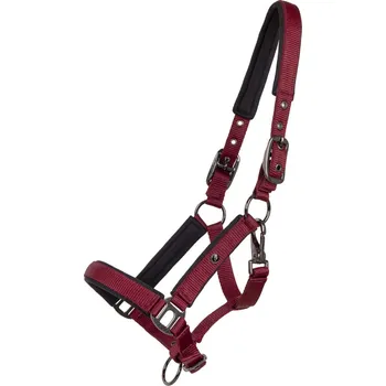 Vybavení pro koně QHP Ohlávka hříběcí Deluxe QHP, burgundy PONY