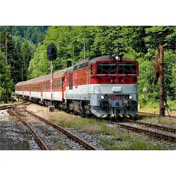 Puzzle puzzle s lokomotivou 757 005-4 300 dílků