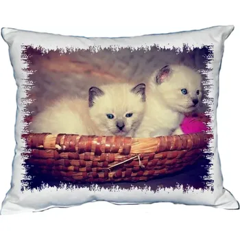 Polštář Polštářek s kočkou bílá