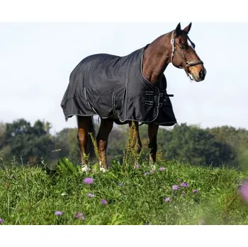 Vybavení pro koně Deka lehká výběhová Riding World Oxford