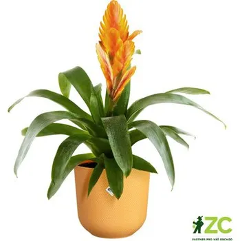 Obal na květináč Obal Jazz - amber yellow 14 cm