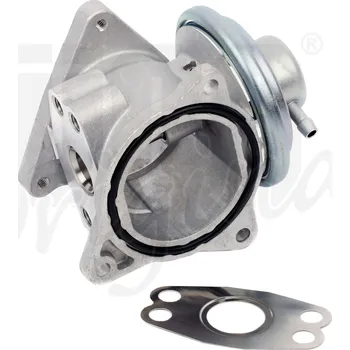 Ventil palivového systému AGR-Ventil Hitachi Automotive Systems Esp. GmbH 138474