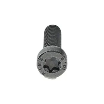 Systém vstřikování Šroub BOSCH F 00N 202 191