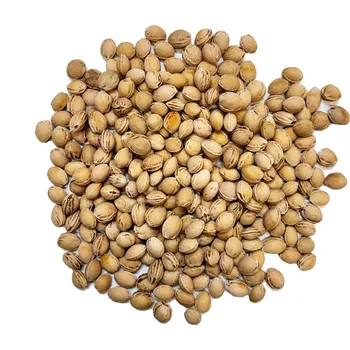 Výplň do polštáře Třešňové pecky sypané Hmotnost: 3 kg