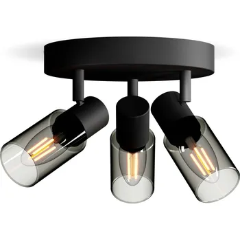 Philips Palms 8720169299351 stropní lampa E14 černá