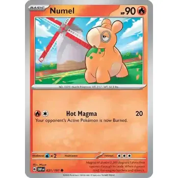 Volný čas Numel (OBF 031)