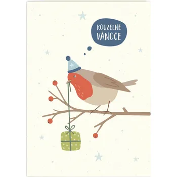 Vánoční přání s červenkou | Formace Design