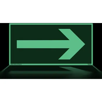 Traiva s.r.o. Směr k východu Verze: Samolepka 200 x 100 mm tl. 0.1 mm - transparentní - Kód: 16018