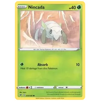 Volný čas Nincada (VIV 13)