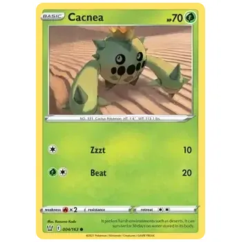 Volný čas Cacnea (BST 4)