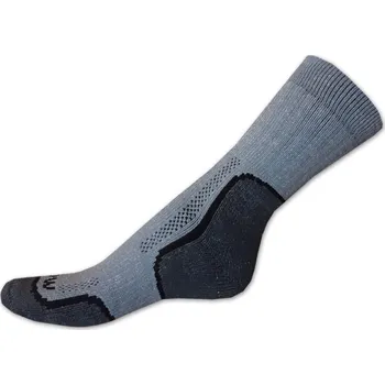 Pánské ponožky Thermo ponožky 45/46 SNOW vzor šedý