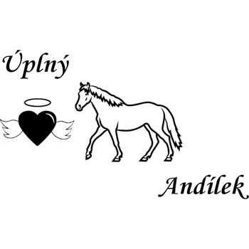 Nášivka Nažehlovací nápis Andělský kůň Vzor: 3, Potisk: bílá